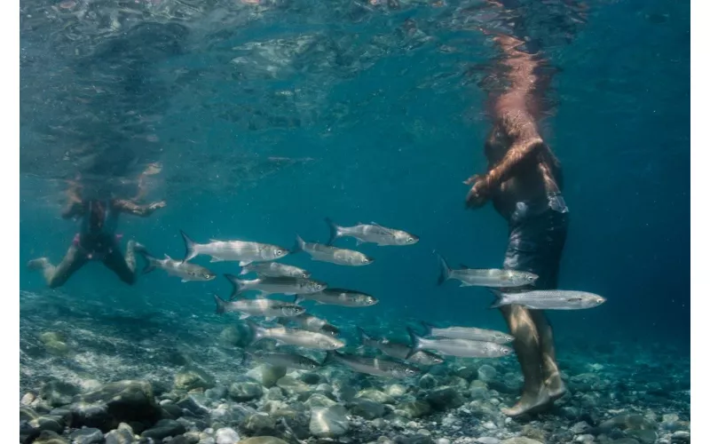 Das Meeresschutzgebiet von Bergeggi