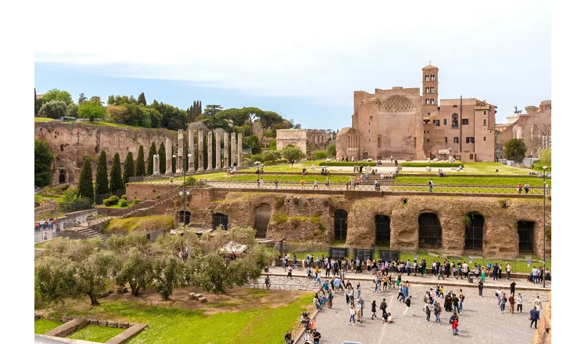 Colosseum, Roman Forum & Palatine Hill + Guided Tour