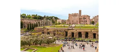 Colosseum, Roman Forum & Palatine Hill + Guided Tour