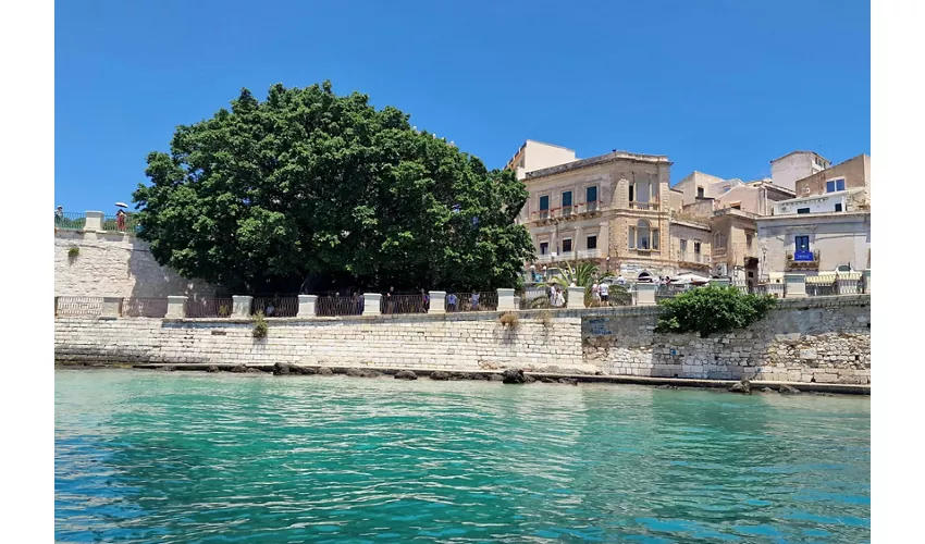 Ortigia: Geführte Boot Tour + Schnorcheln + Schwimmen + Getränke