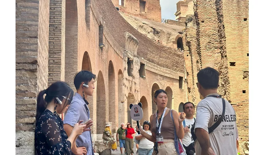 Colosseo, Foro Romano e Palatino + Tour guidato