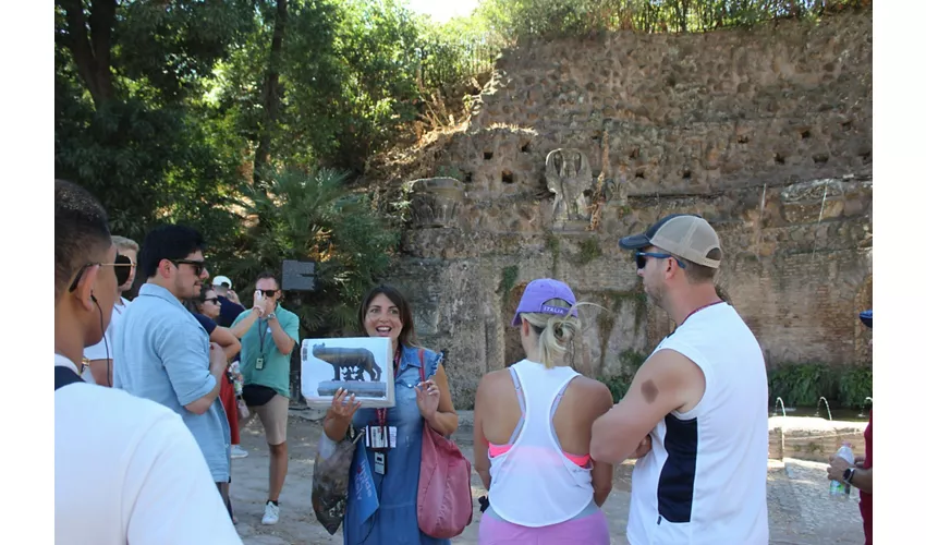 Colosseum, Arena, Roman Forum & Palatine Hill + Guided Tour