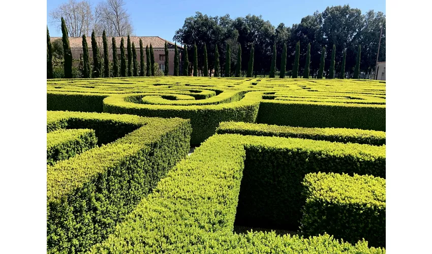 Fundación Cini, Laberinto de Borges y Capillas Vaticanas