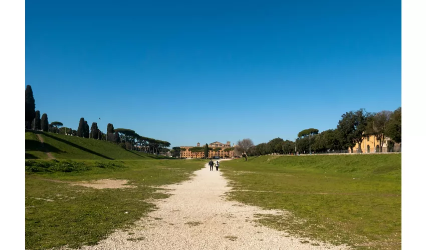 Visita guidata delle Terme di Caracalla e del Circo Massimo