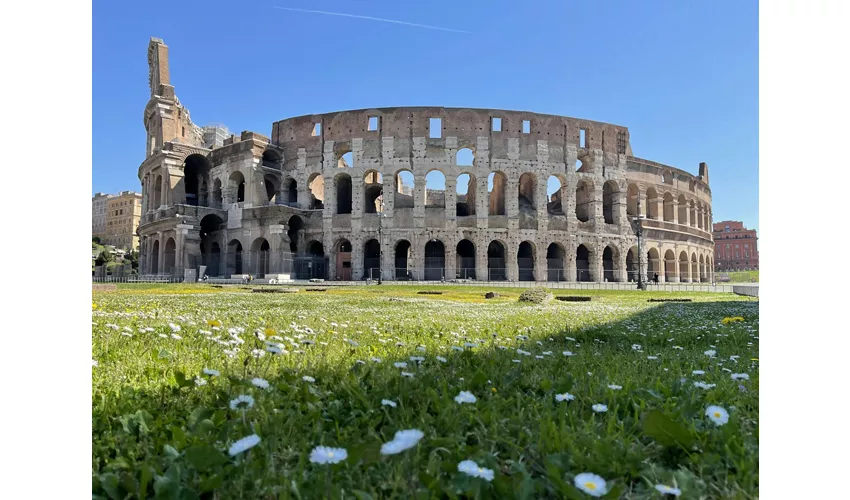 Colosseum, Arena, Underground, Forum & Palatine Hill + Guided Tour