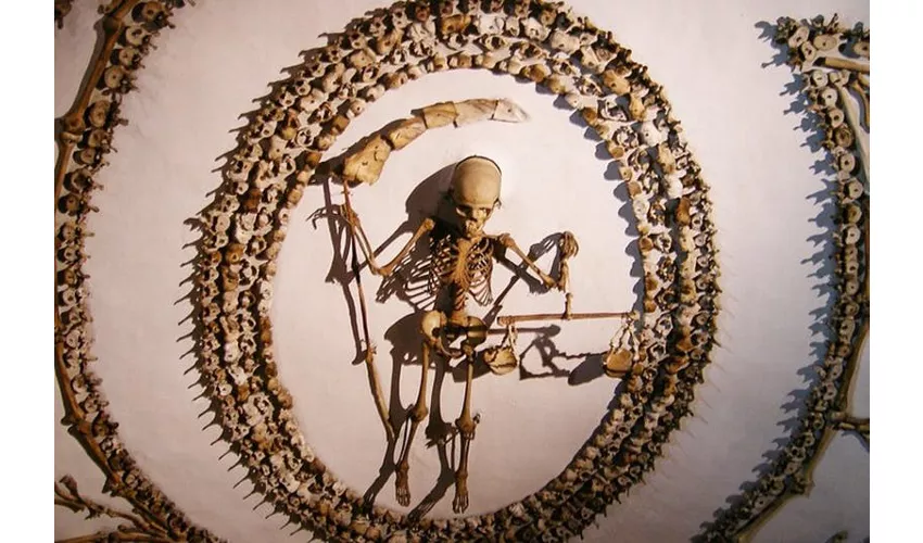 Cripta de los capuchinos: Tour guiado