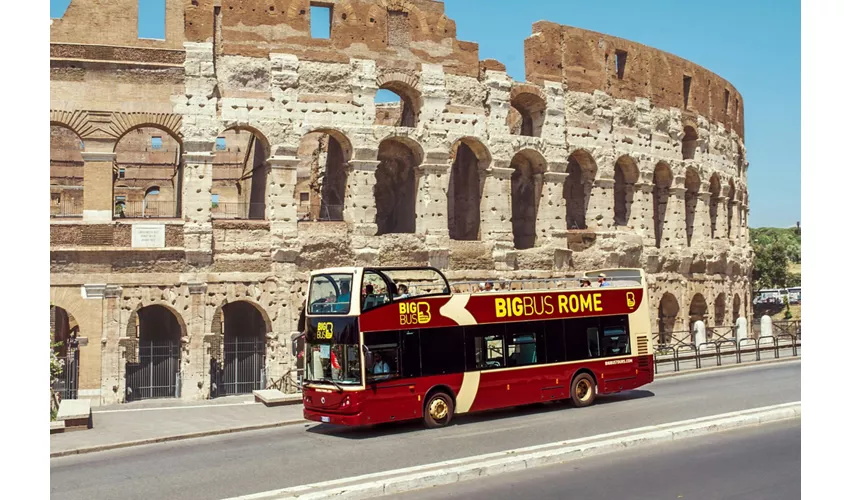 Rome: Hop-on Hop-off Bus Tour + Civitavecchia Cruise Port Transfer