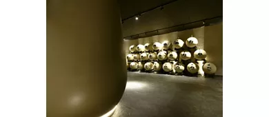 Verona: Visita a los Viñedos de Vapolicella + Cata de Vinos con Almuerzo