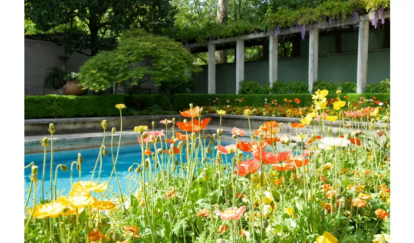 Villa Necchi Campiglio: Tour guiado