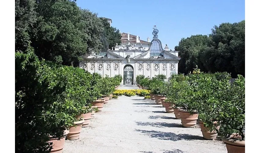 Galleria Borghese: Tour guidato semiprivato