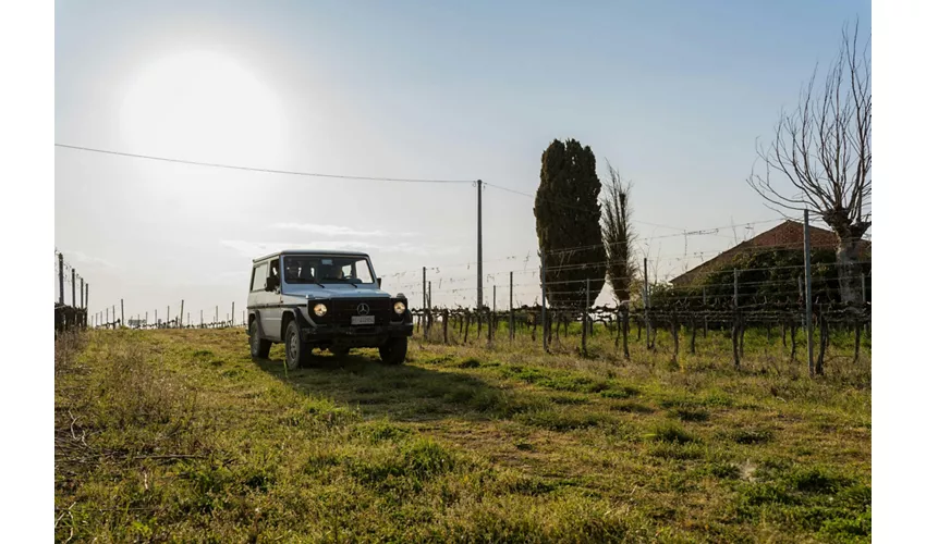 Safari Grand Tour und Verkostung