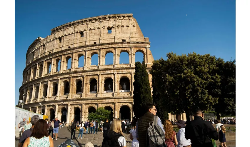 Colosseum, Roman Forum & Palatine Hill + Guided Tour
