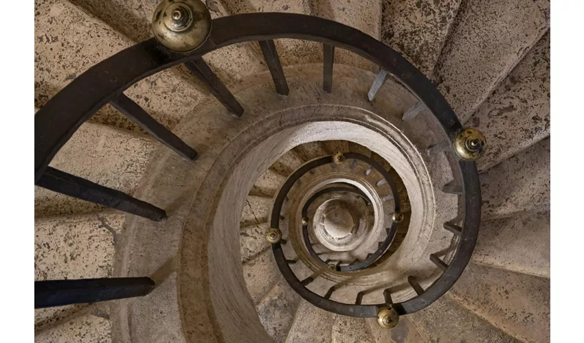 Basílica de Santa María la Mayor: Entrada prioritaria + Museo