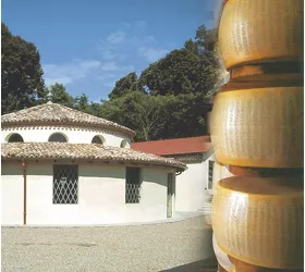 Museos gastronómicos: Museo del Parmigiano Reggiano