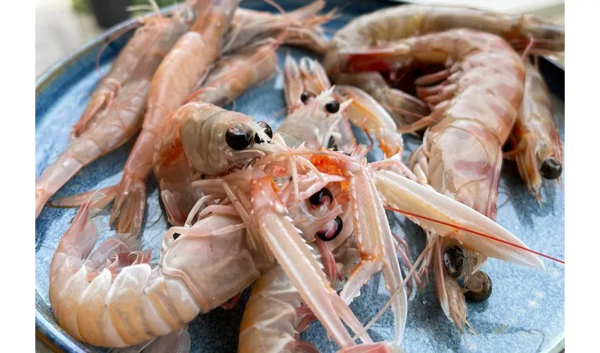 Emilia-Romaña: Clase de cocina marinera + Comida o Cena + Bebidas