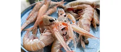 Emilia-Romaña: Clase de cocina marinera + Comida o Cena + Bebidas