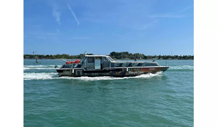 Murano and Burano: Morning Boat Tour