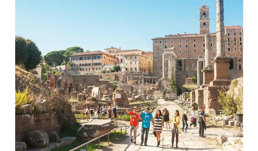 Colosseo, Foro Romano e Palatino + Tour guidato