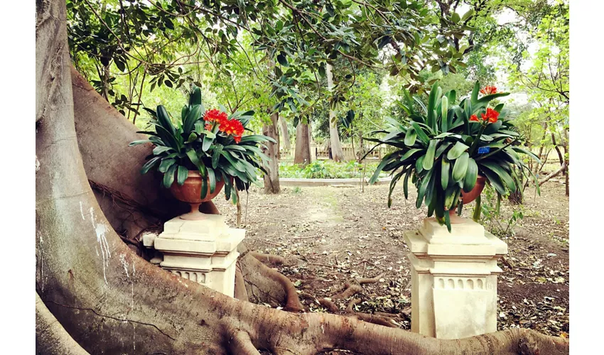 Jardín Botánico de Palermo: Entrada