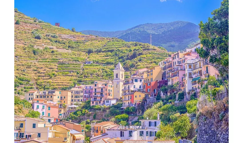 Cinque Terre National Park: Entry Ticket + Guided Day Trip from Milan