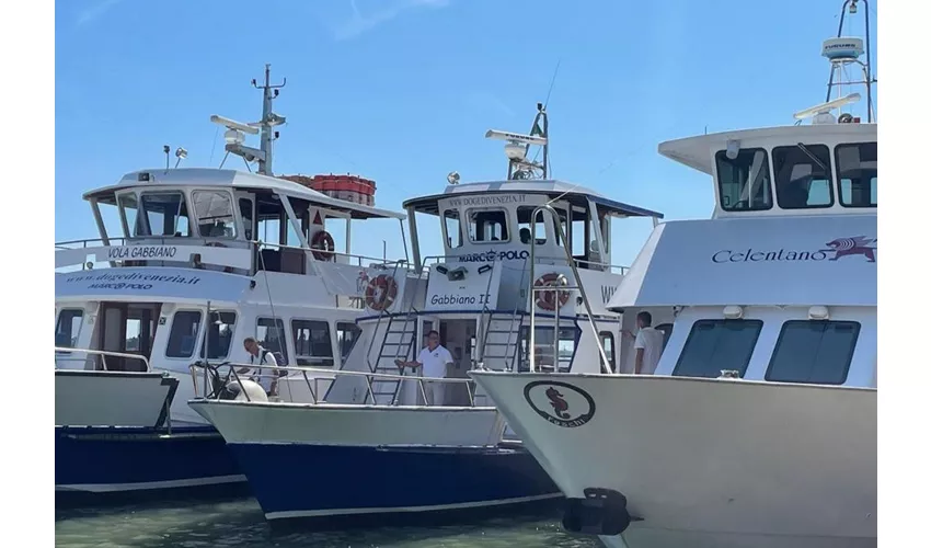 Murano & Burano: Boat Tour from Punta Sabbioni + Glass Demonstration