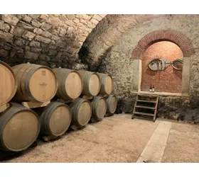 Valpolicella: Food & Olive Oil Tasting + Optional Transportation