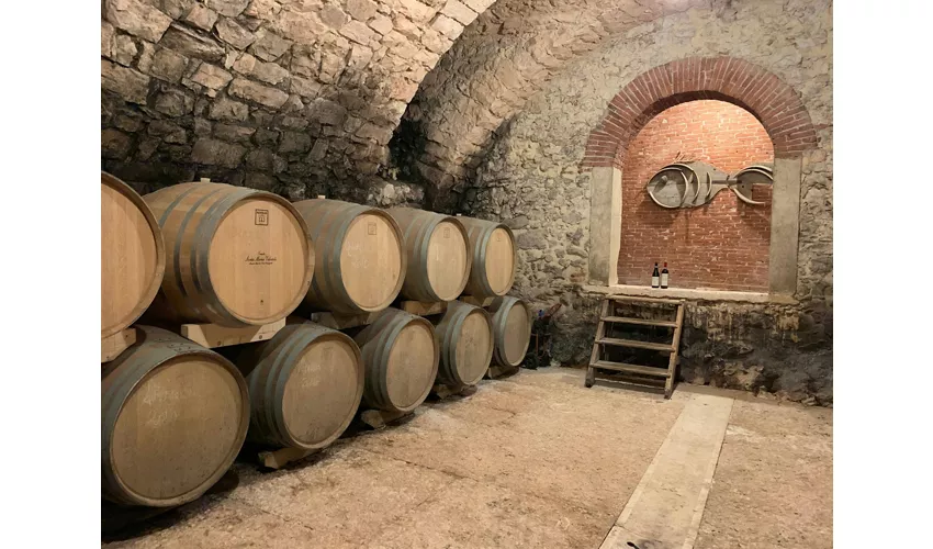 Valpolicella: Food & Olive Oil Tasting + Optional Transportation