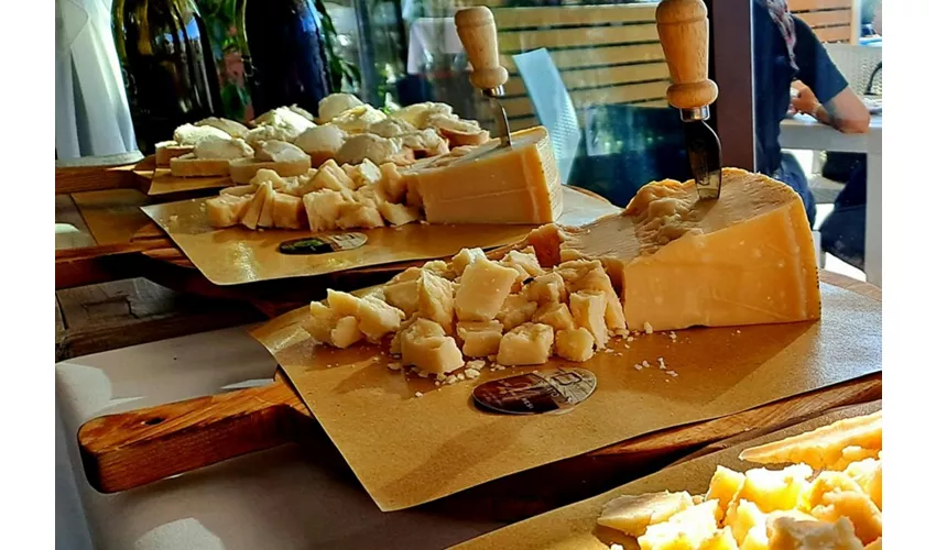 Noceto: Parmesan Cheese Factory Guided Tour