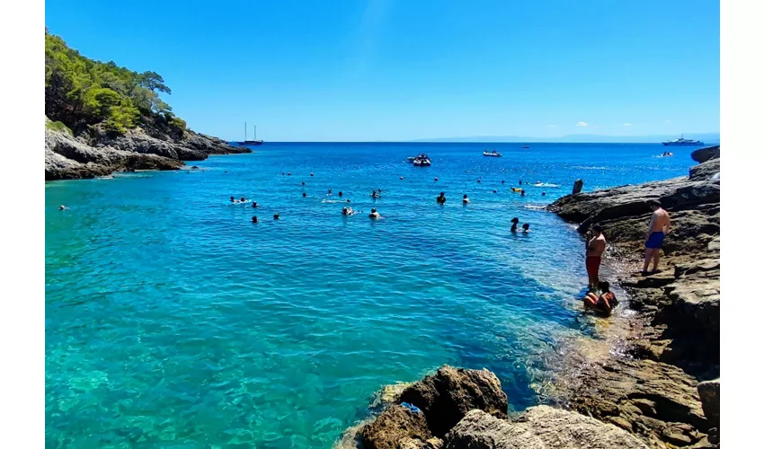 Islas Tremiti: Excursión guiada en barco desde Peschici