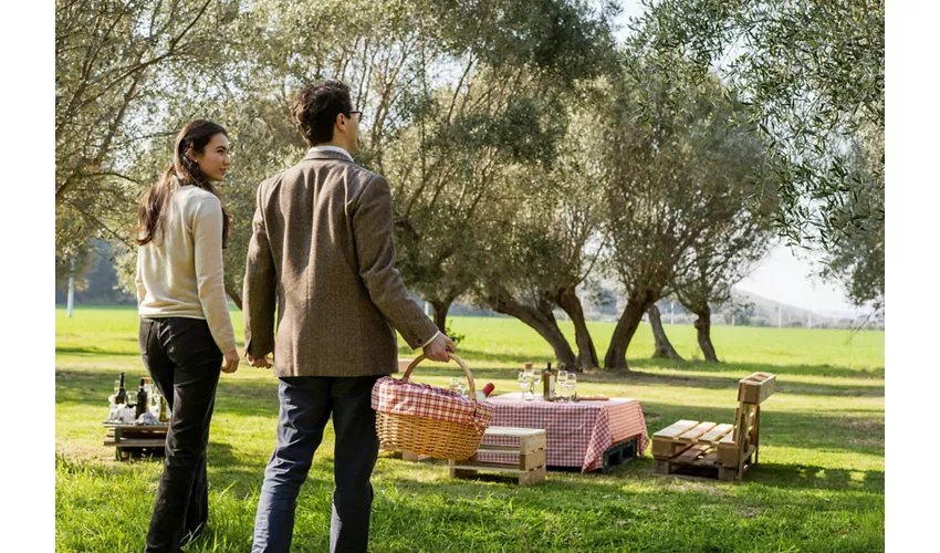 Weingut Mazzarosa: Ländliches Picknick im Olivenhain