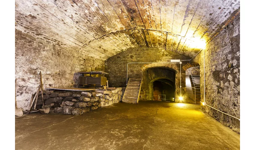 Viterbo Underground