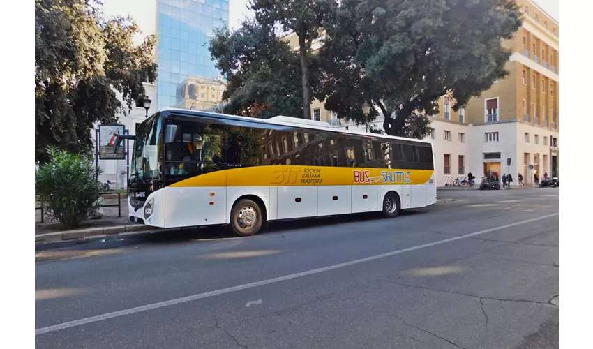 Civitavecchia: Bus navetta da/per Roma