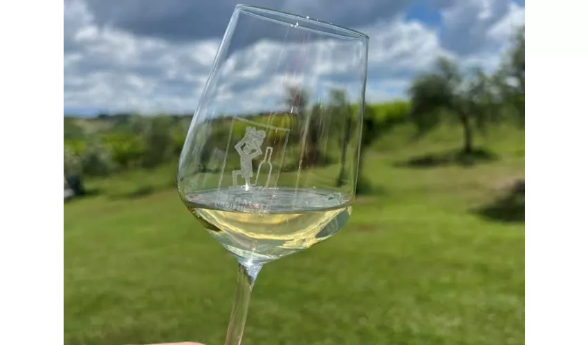 Tenuta La Viola: Guided Tour and Wine Tasting