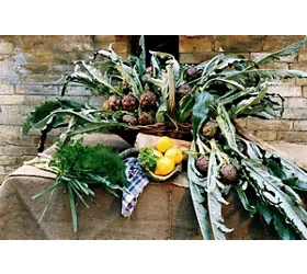 Sagra del Carciofo di Montelupone 2026