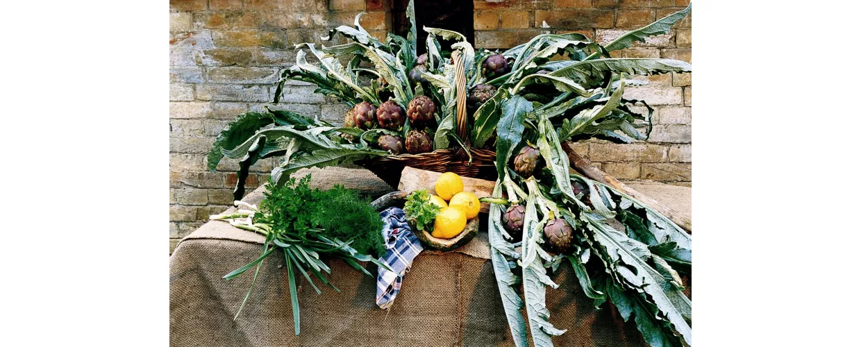 Sagra del Carciofo di Montelupone 2026