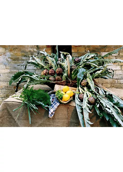 Sagra del Carciofo di Montelupone 2026