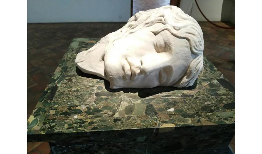 Palazzo Altemps: Reserved Entry Ticket
