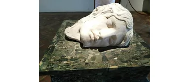 Palazzo Altemps: Reserved Entry Ticket