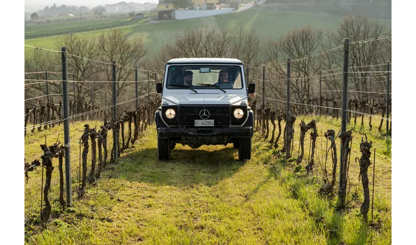 Safari Grand Tour und Verkostung