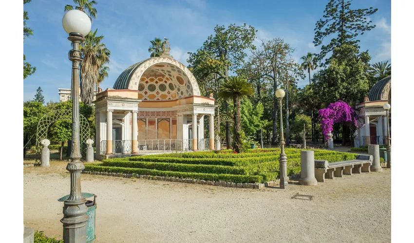 Museo Nazionale Etrusco di Villa Giulia: Biglietto saltafila