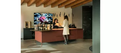 Verona: Visita a los Viñedos de Vapolicella + Cata de Vinos con Almuerzo