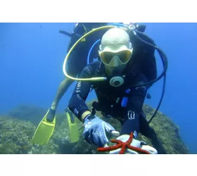 Cyclopean Isles: Scuba Diving Experience