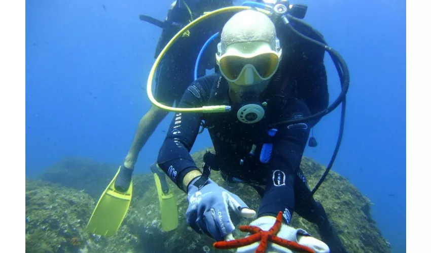 Islas Ciclópeas: Experiencia de submarinismo