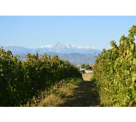 Historische Kellertour und Verkostung in den Abruzzen