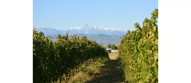 Abruzzo Historical Cellar Tour e Degustação