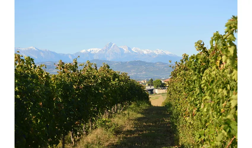 Historische Kellertour und Verkostung in den Abruzzen