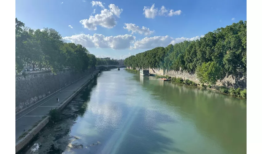 Roma: Degustazioni di cibo + Tour guidato di Trastevere e del Ghetto Ebraico