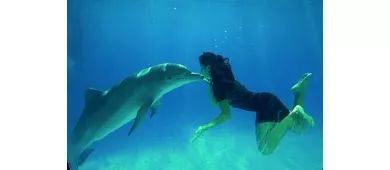 Zoomarine Roma: Entrada reservada con experiencia con delfines