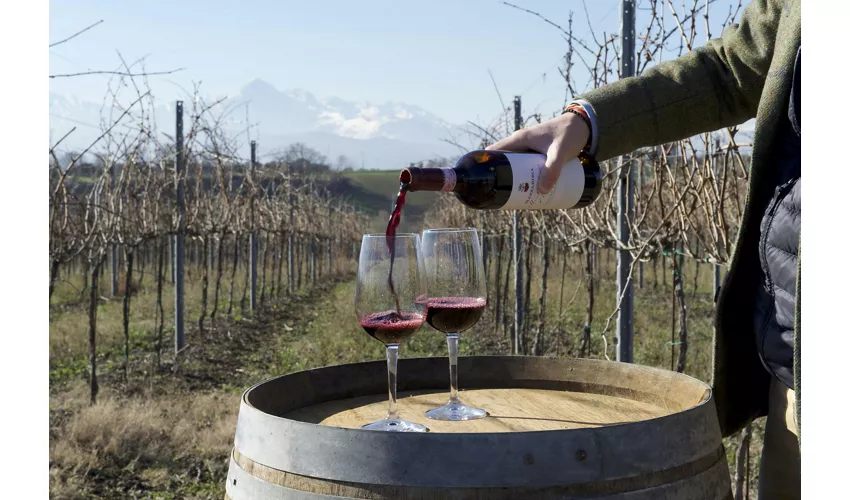 Historische Kellertour und Verkostung in den Abruzzen