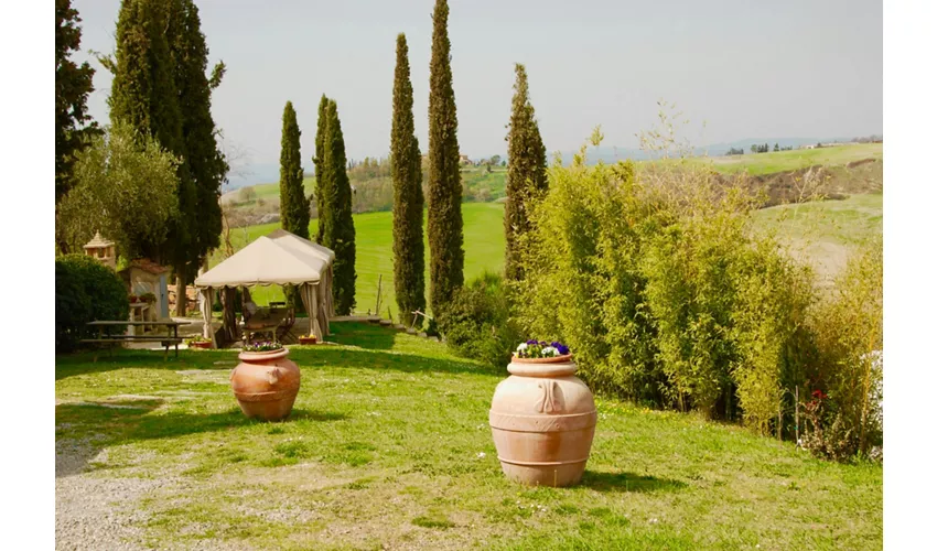 Gita in Toscana da Roma con Pranzo Incluso